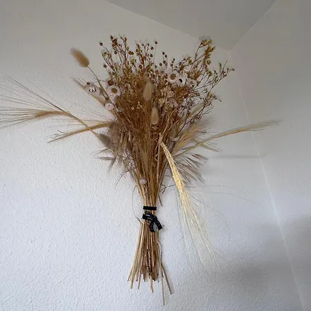 T2 + Alcove, Piscine Collective, 5 Pers, Parking - Fr-1-323-568 *